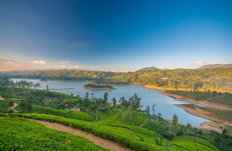 Your Guide to the Best Private Tour Guides in Sri Lanka