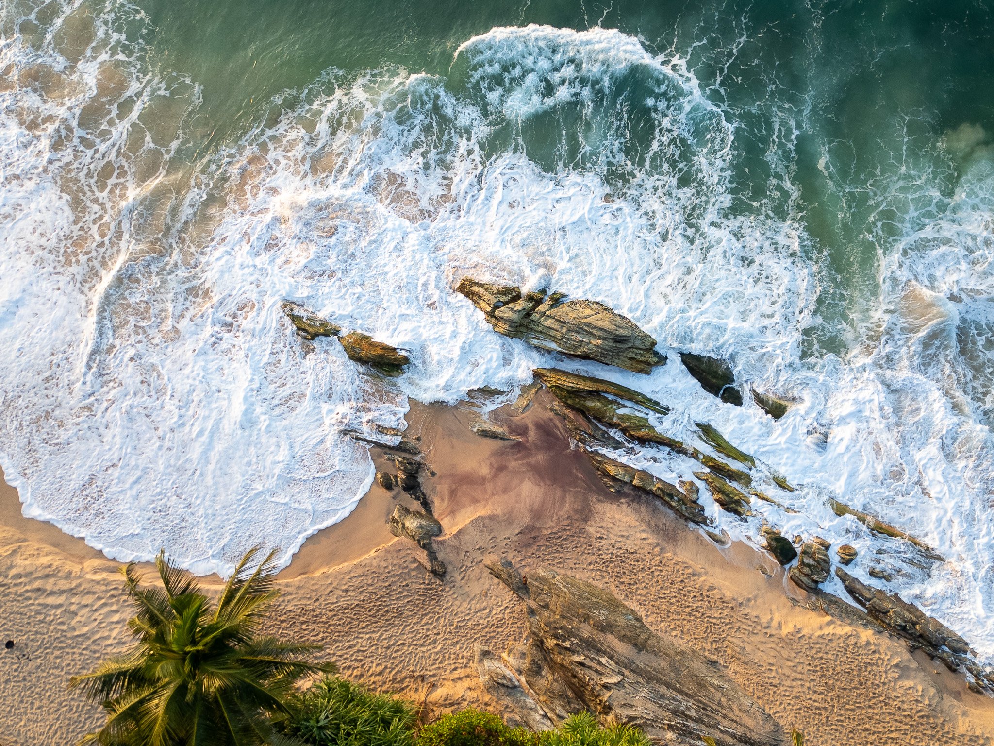 Hiring a Private Tour Guide in Sri Lanka: What You Need to Know